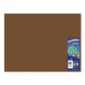 CARTULINA IRIS DIEM 50X66 CAFÉ OSC 19