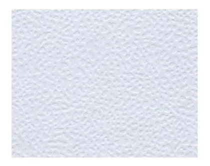 CASCARON JISS OCTAVO 28X35 CM