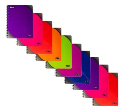 CUADERNO PROFESIONAL NORMA UNO 5MM 100H