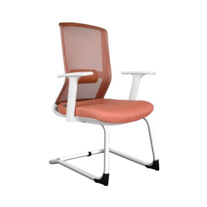 SILLÓN EJECUTIVO EDAR ZULA TRINEO CON BRAZOS